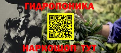 ECSTASY Можга