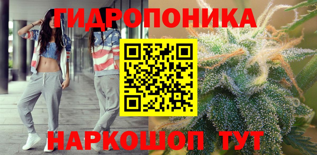 Бошки марихуана Ganja  МАРИХУАНА OG Kush  Тверь  МАРИХУАНА гибрид  Вход с VPN  Бошки марихуана гибрид 